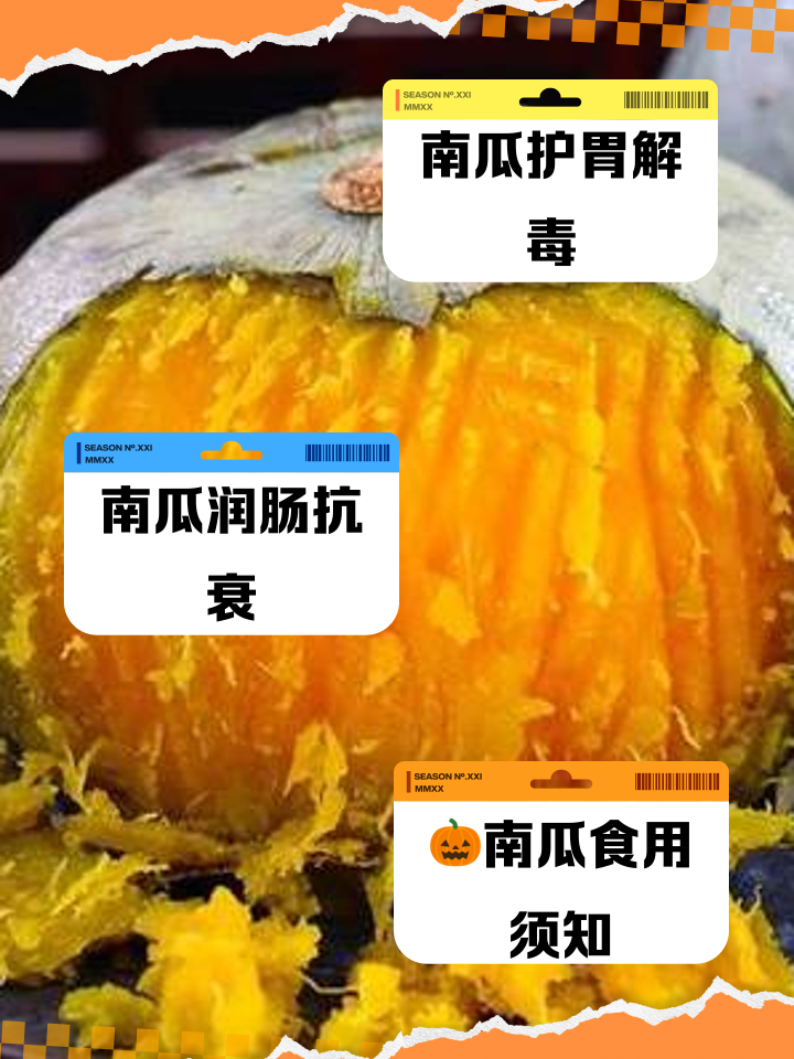 早餐可以吃苦瓜吗(早上吃苦瓜有什么好处) 早餐可以吃苦瓜吗(早上吃苦瓜有什么好处)