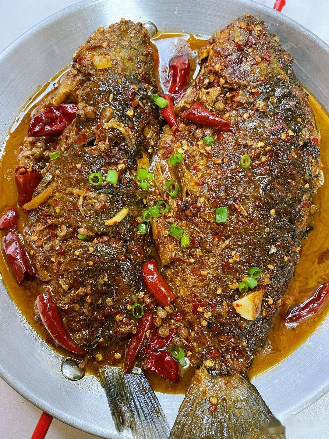 鲫鱼特色做法大全(鲫鱼特色做法大全视频)