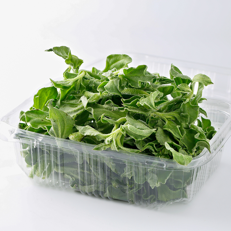 什么素菜可以冷冻(什么素菜可以冷冻呢保存)