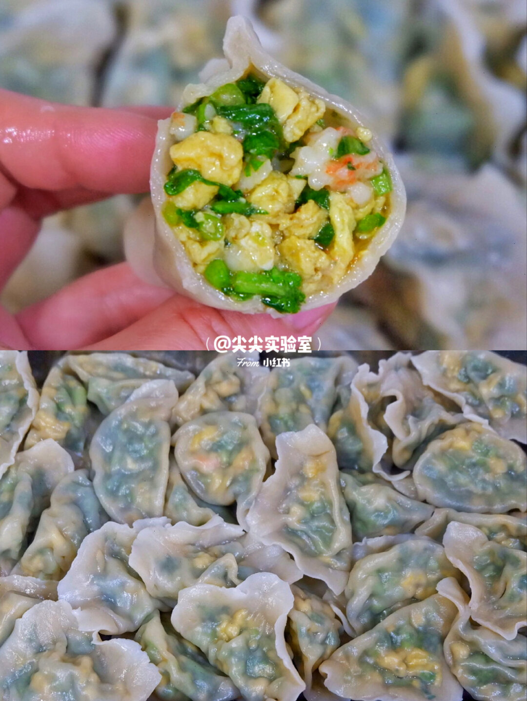 做素菜饺子怎么做(做素菜饺子怎么做视频) 做素菜饺子怎么做(做素菜饺子怎么做视频)