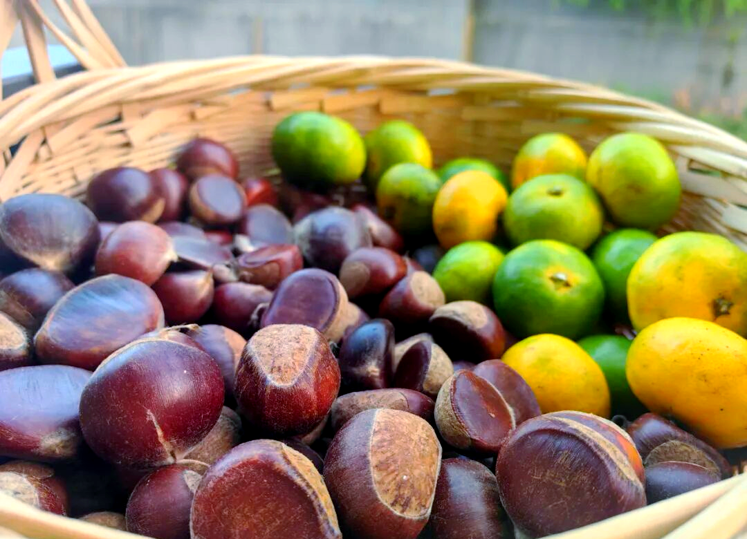 秋天的特色美食(秋天的特色美食有哪些) 秋天的特色美食(秋天的特色美食有哪些)