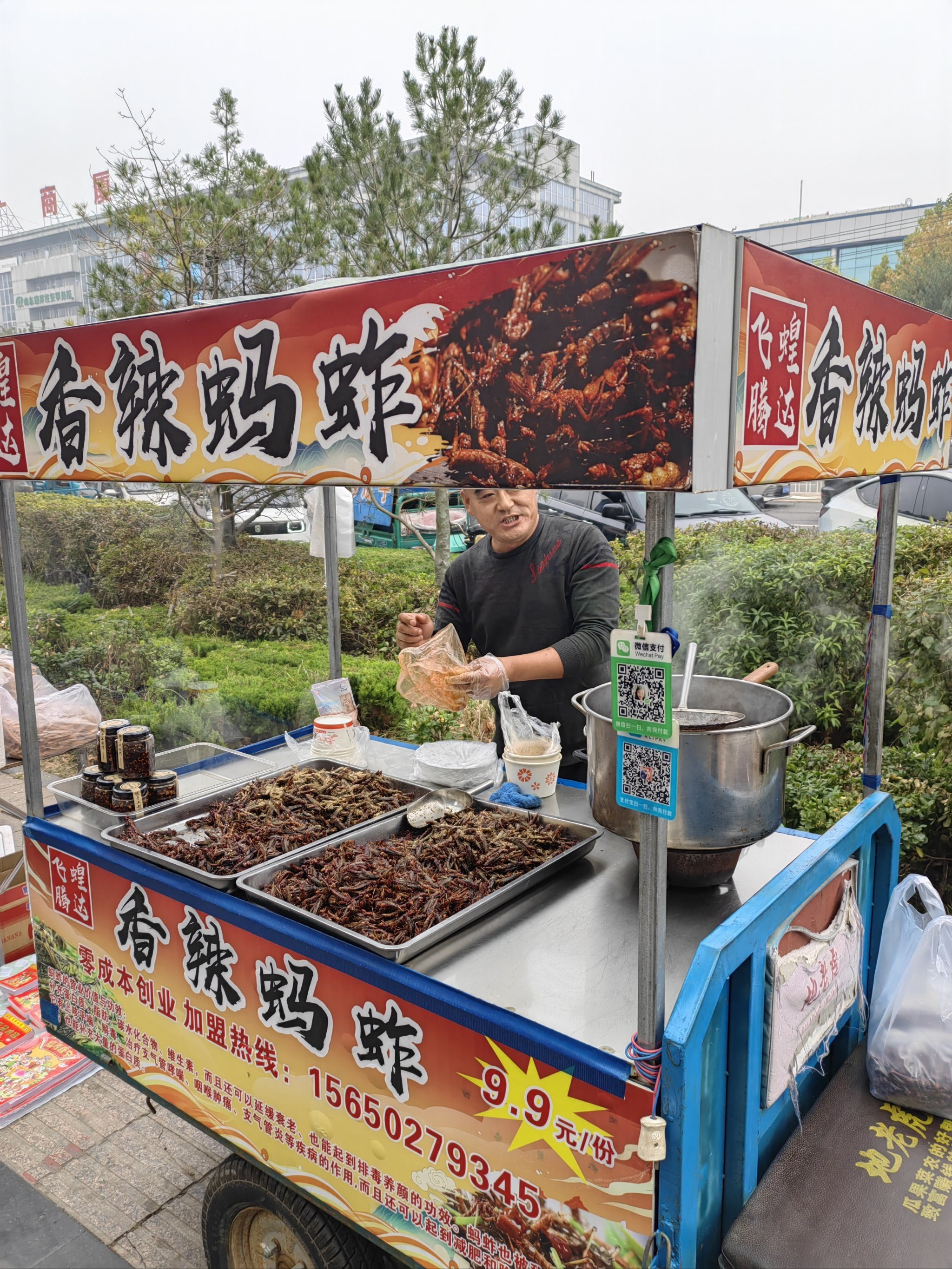 大展柜小吃车(小吃摊车款式和图片)