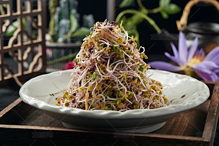 萝卜苗拌凉菜做法(萝卜苗凉拌菜的做法)