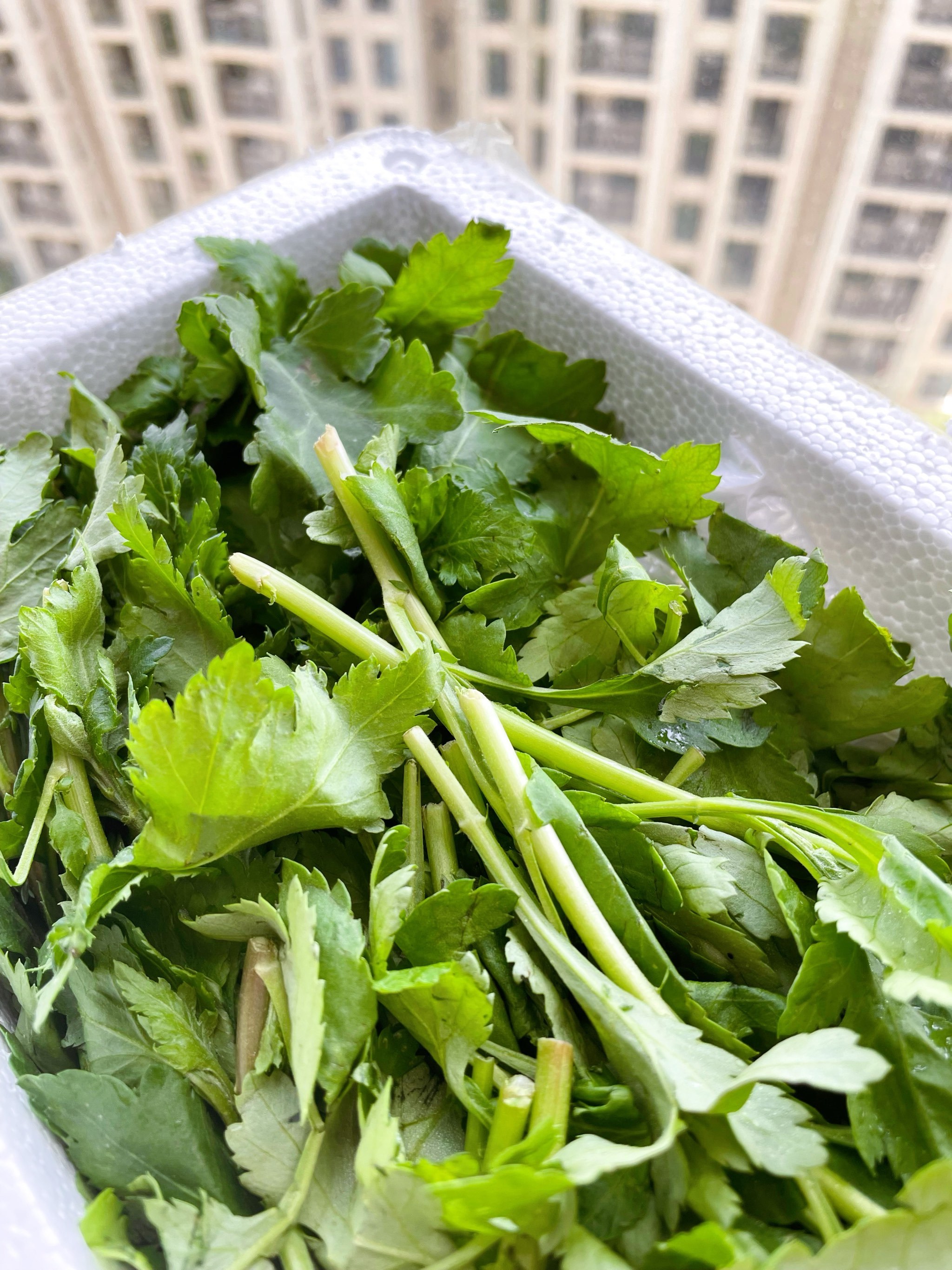 排除体内毒素菜(排除体内毒素的食物)