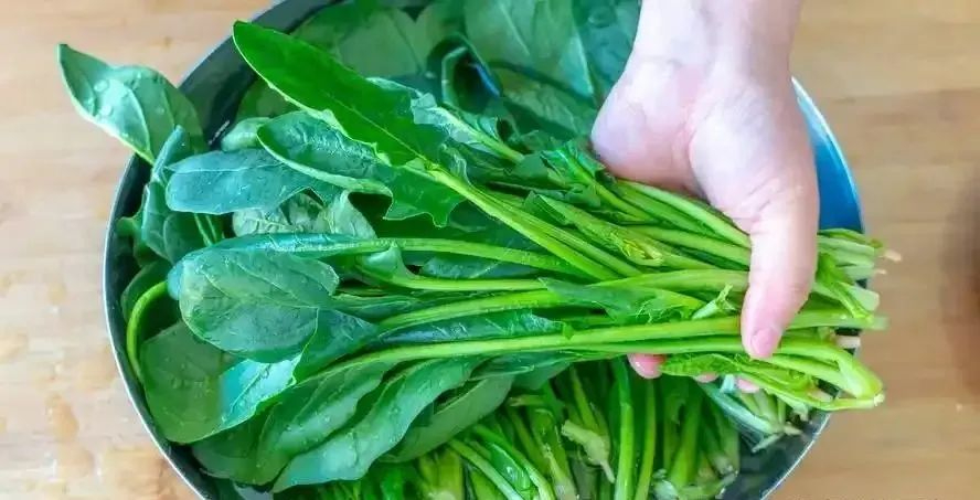 排除体内毒素菜(排除体内毒素的食物)