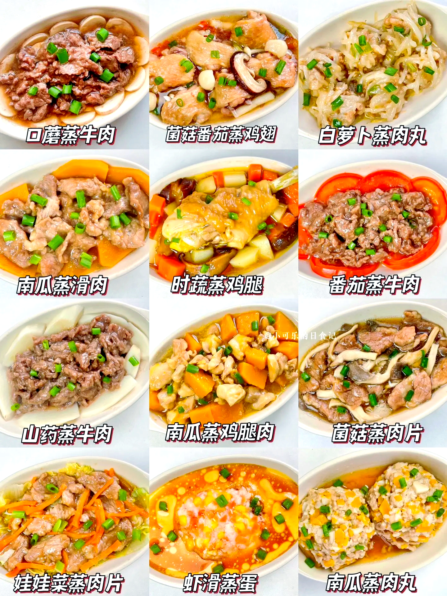 蒸的素菜类都有哪些(蒸素菜有哪些菜谱大全)