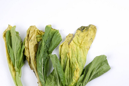 最差的素菜图片(最差的素菜图片高清) 最差的素菜图片(最差的素菜图片高清)