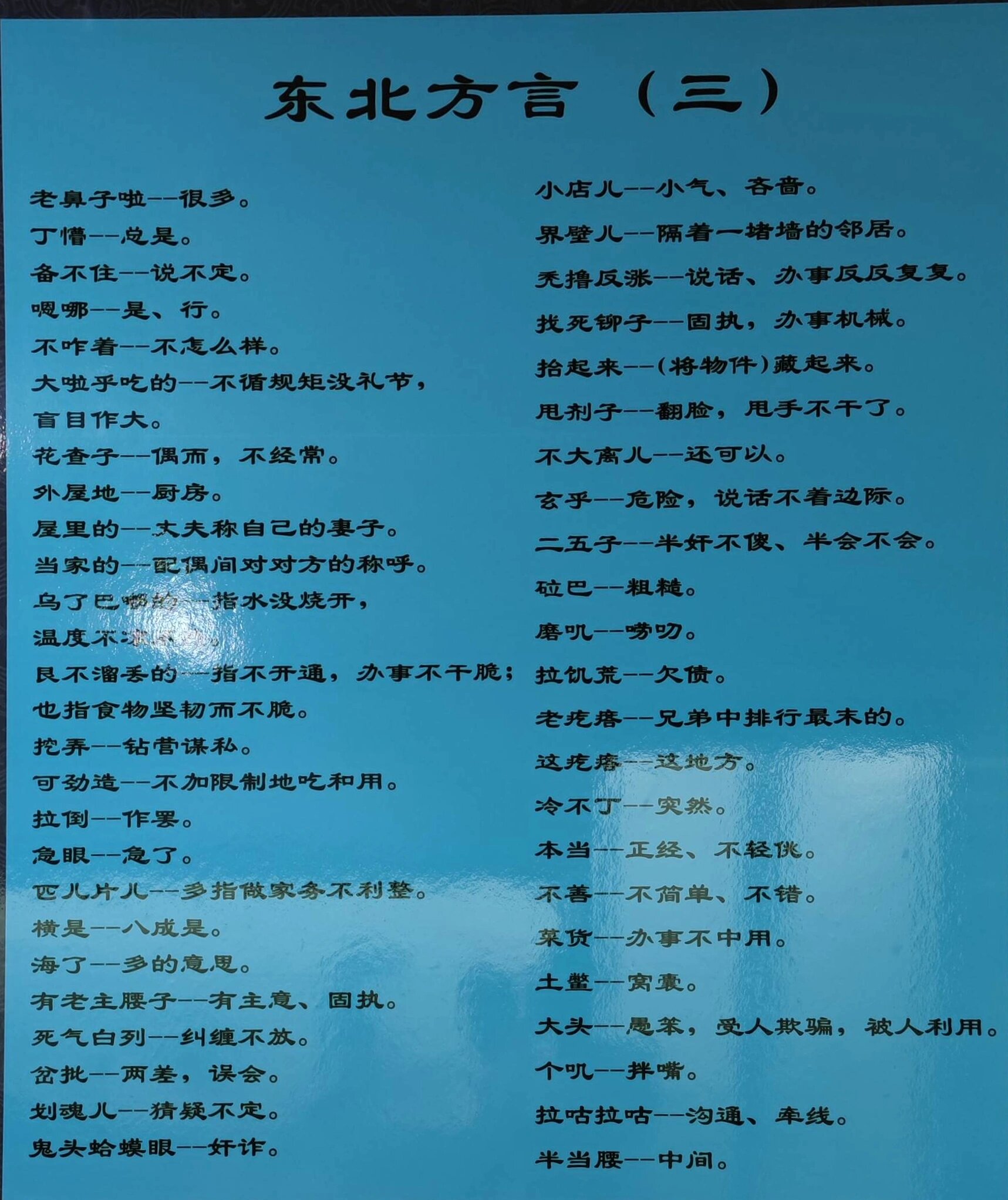 东北的特色介绍(最具东北特色的话) 东北的特色介绍(最具东北特色的话)