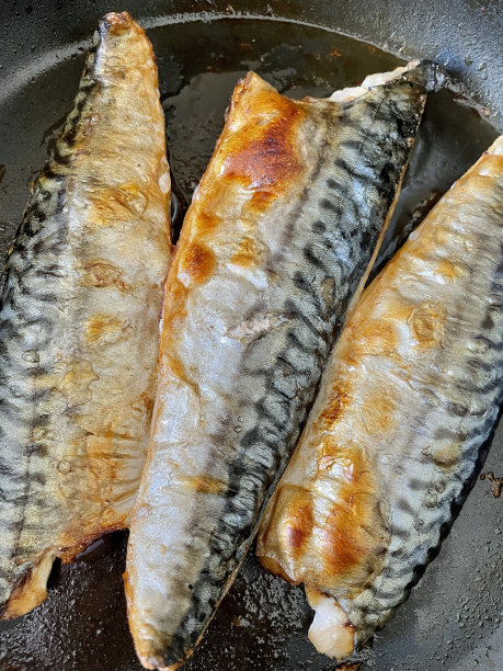 日本早餐鲭鱼(日本鰤鱼怎么吃) 日本早餐鲭鱼(日本鰤鱼怎么吃)