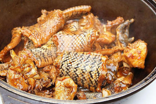 蛇特色菜品图片大全(蛇特色菜品图片大全简笔画)