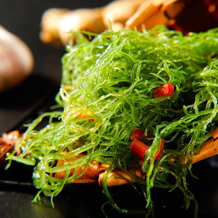 海类食用凉菜(海类食用凉菜图片)