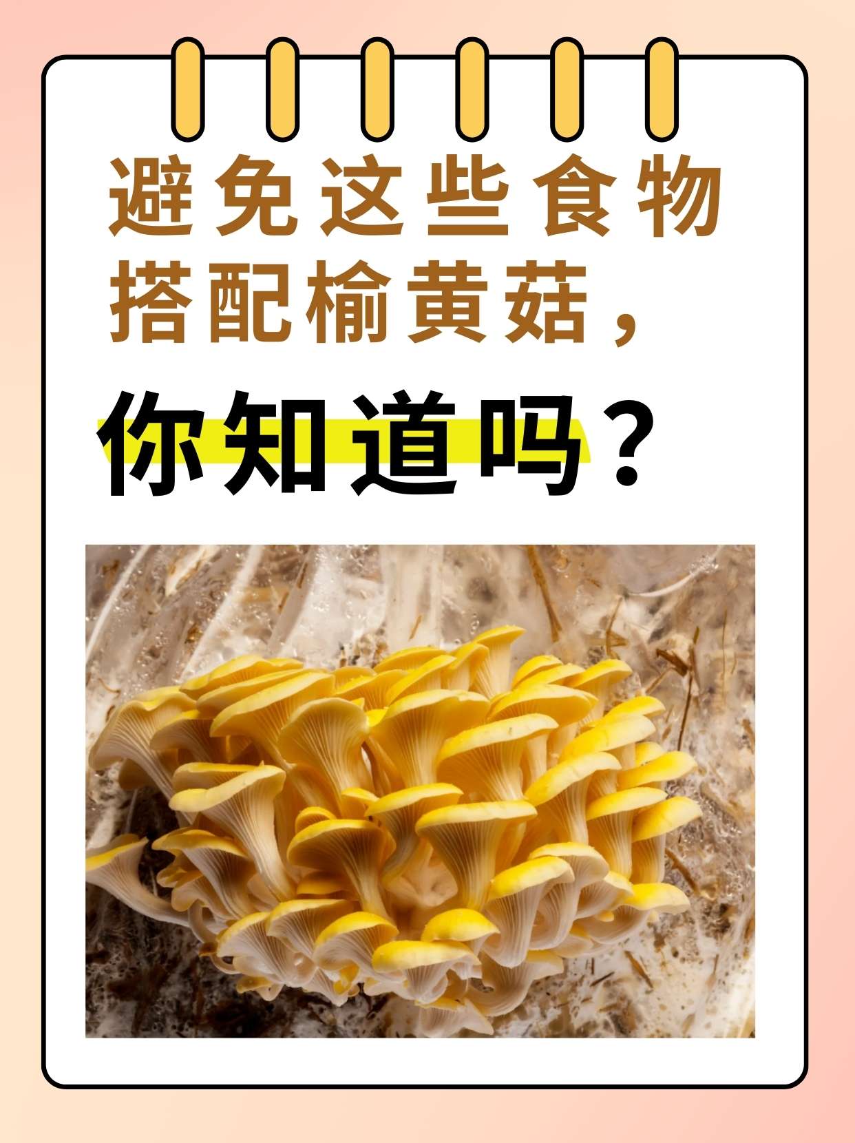 黄蘑菇的特色做法大全(黄蘑菇怎么做好吃还简单)