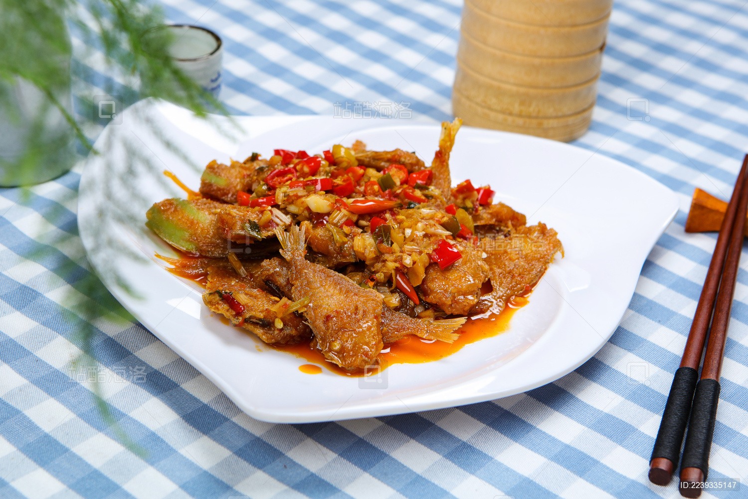 特色耗儿鱼图片大全(特色耗儿鱼图片大全高清)