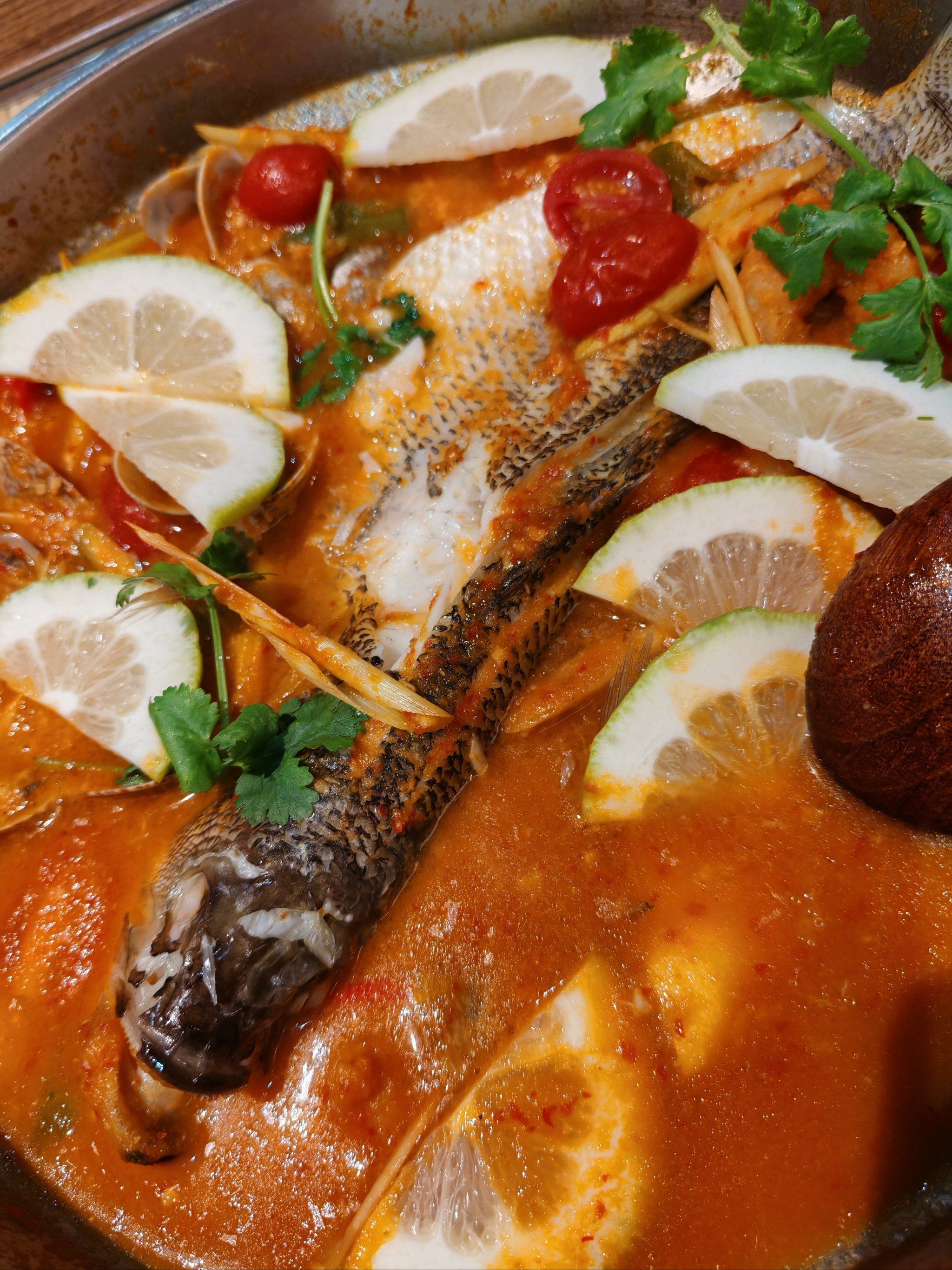 荷兰特色美食鱼(荷兰特色美食鱼是什么鱼)