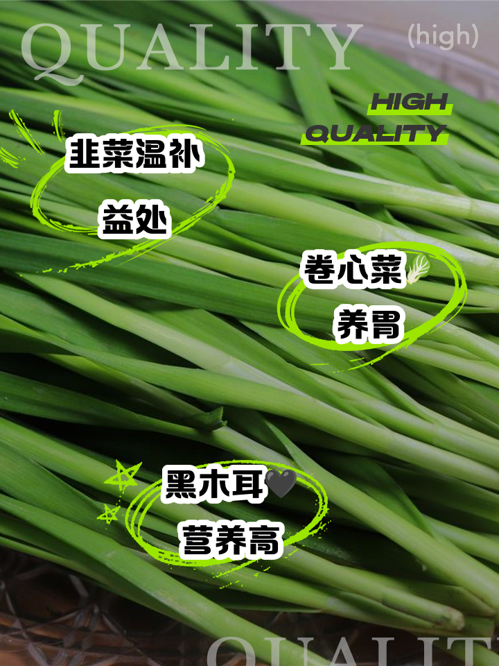 阳虚吃什么素菜(阳虚吃什么菜效果最好)