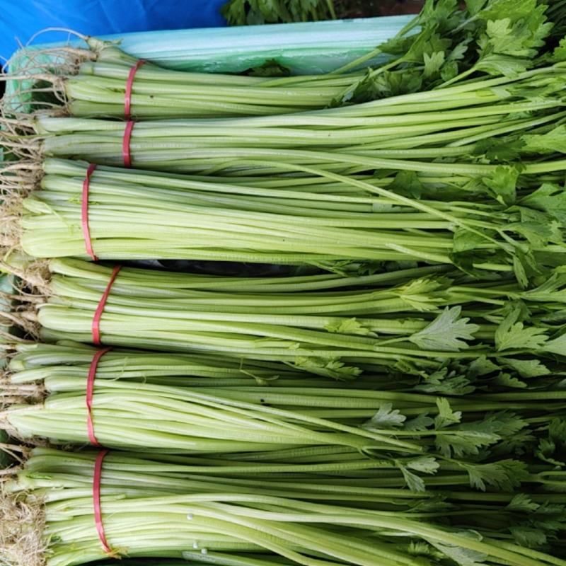 家常毛芹(毛芹菜的吃法)