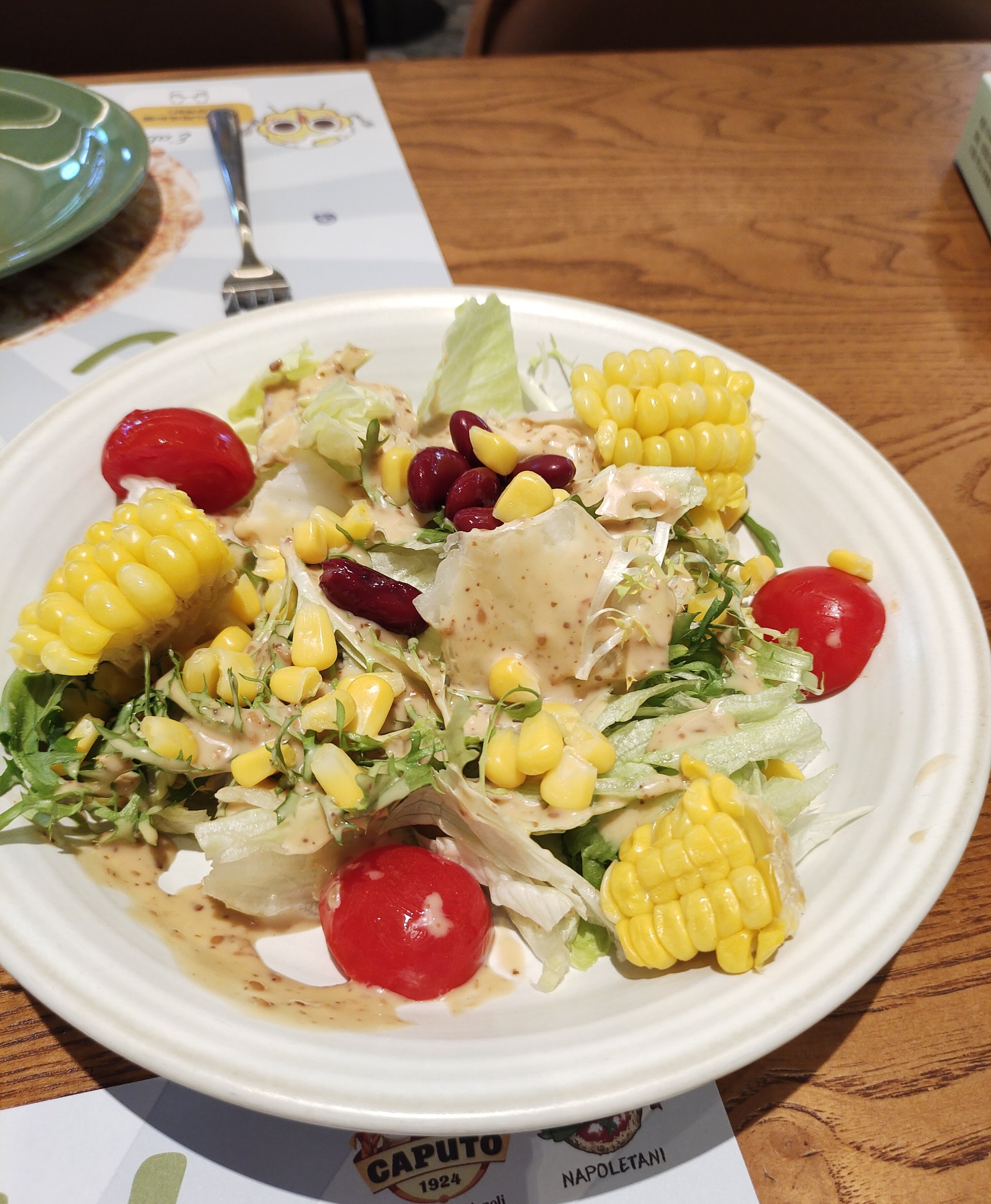 素菜沙拉菜(素菜沙拉食材)