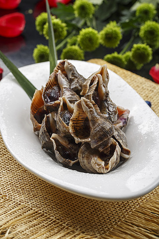 卤的海螺凉菜(卤海螺需要多长时间)