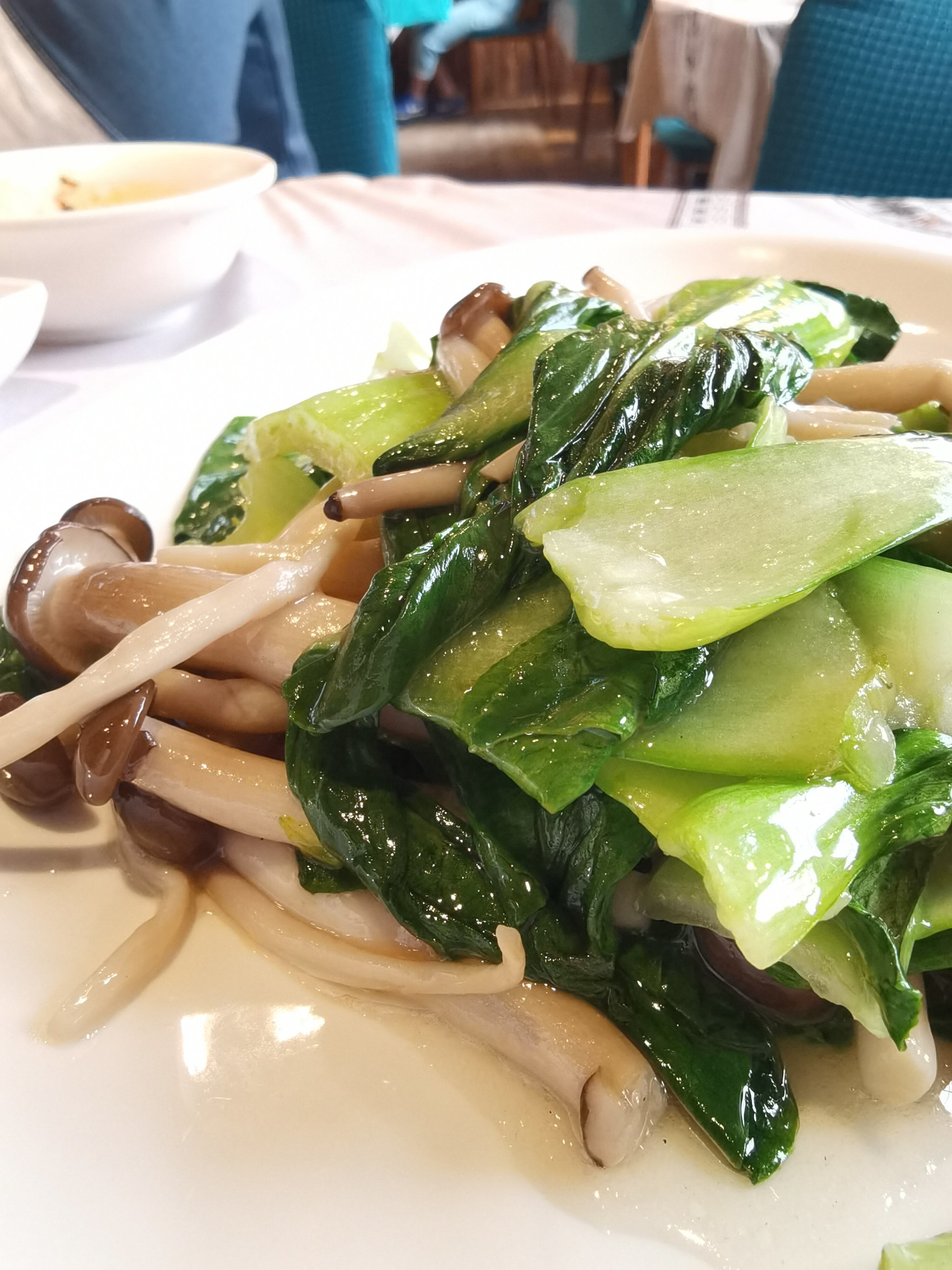 盐焗素菜有哪些(盐焗菜的做法大全)