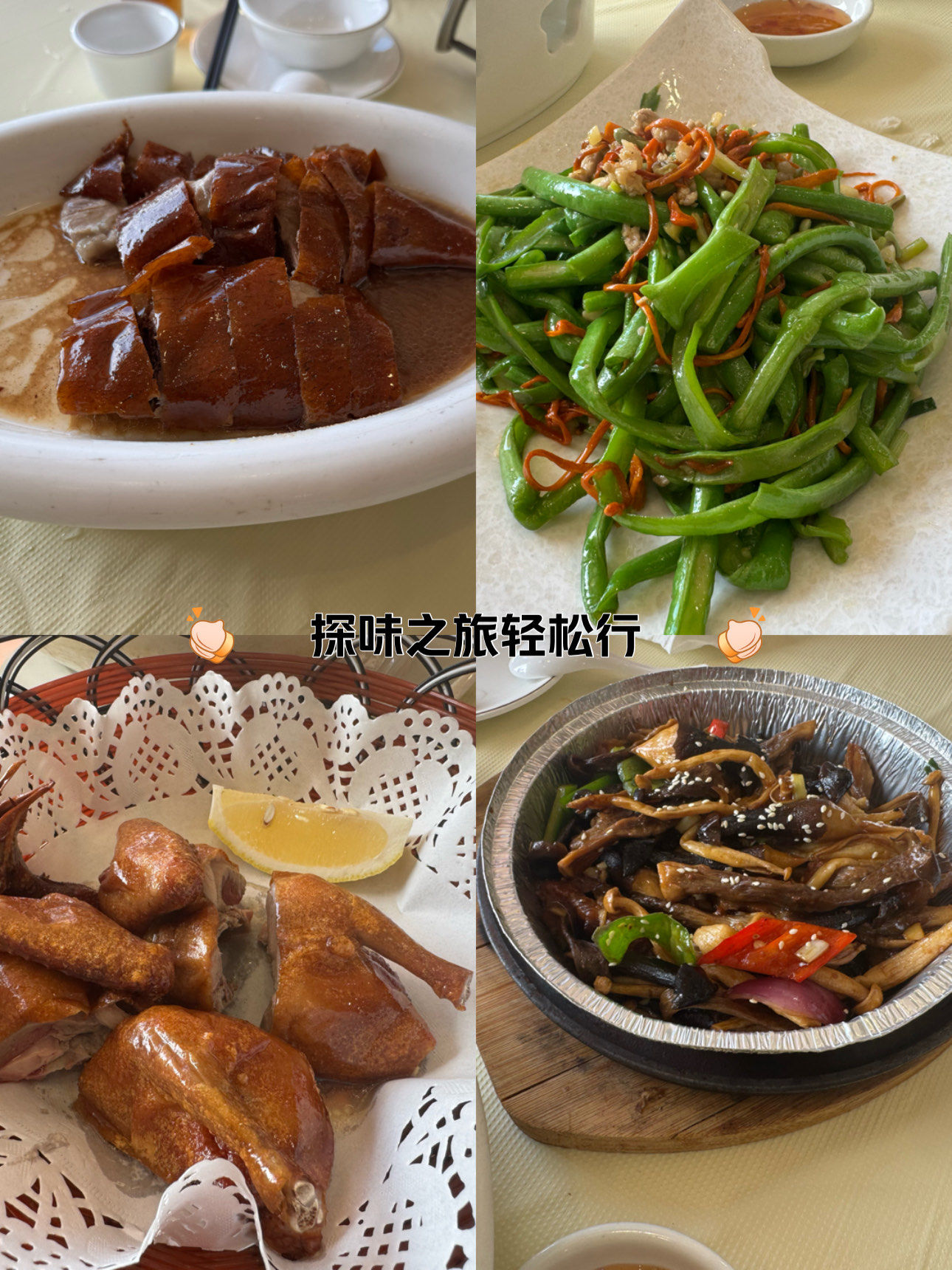 鸽子吃什么素菜等(给鸽子吃什么蔬菜对肠道好)
