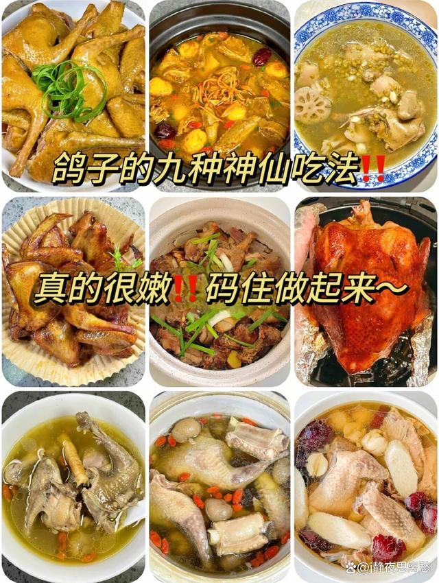 鸽子吃什么素菜等(给鸽子吃什么蔬菜对肠道好)