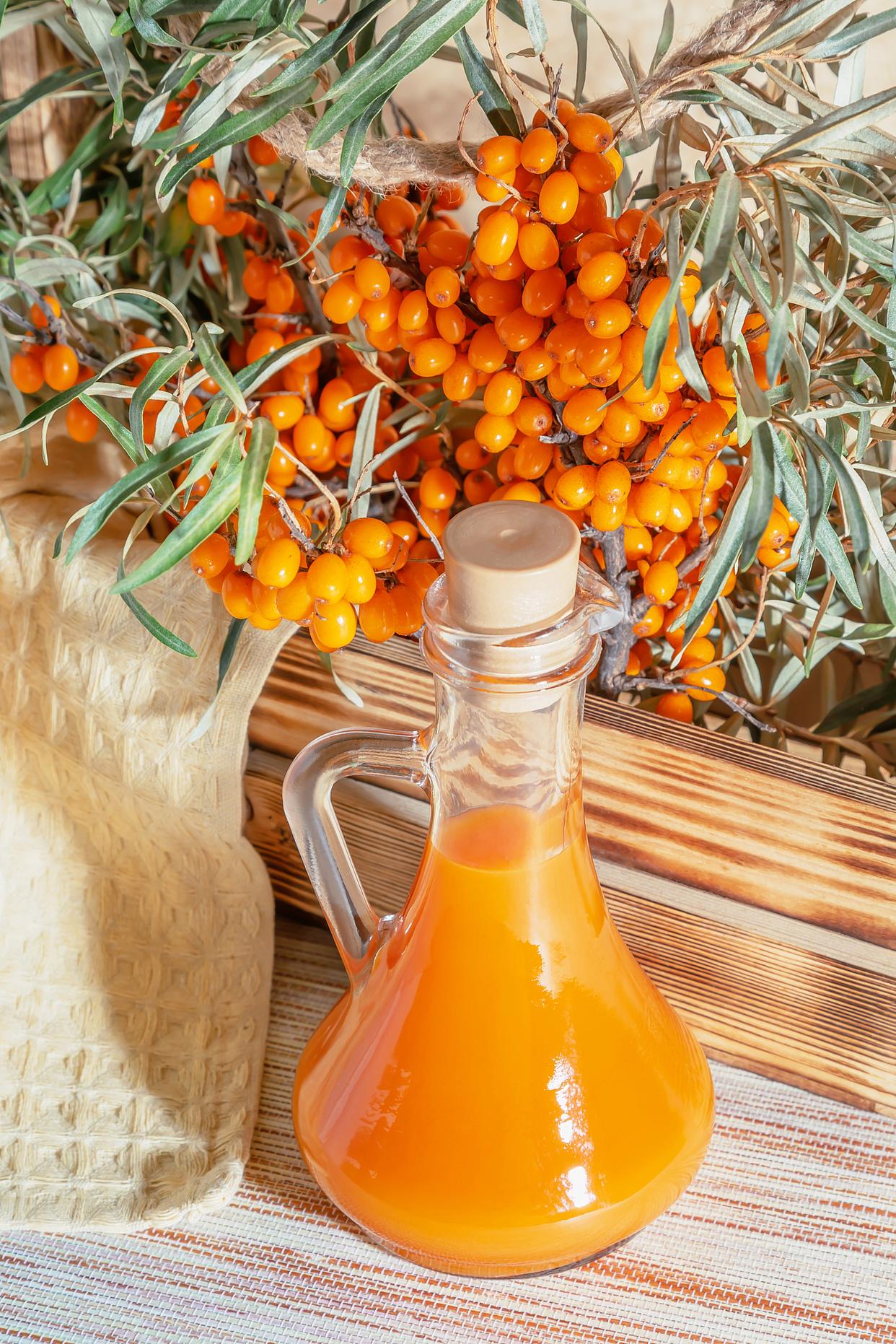 凉菜沙棘(沙棘汁做菜窍门)