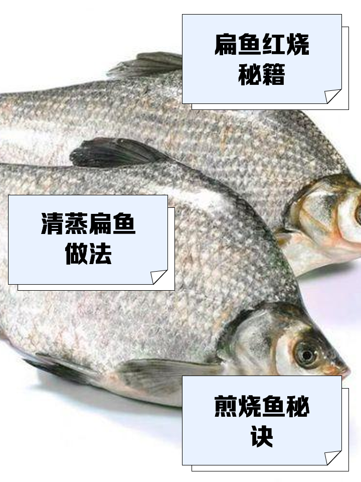 扁鱼清蒸的家常做法(扁鱼清蒸要蒸多长时间)