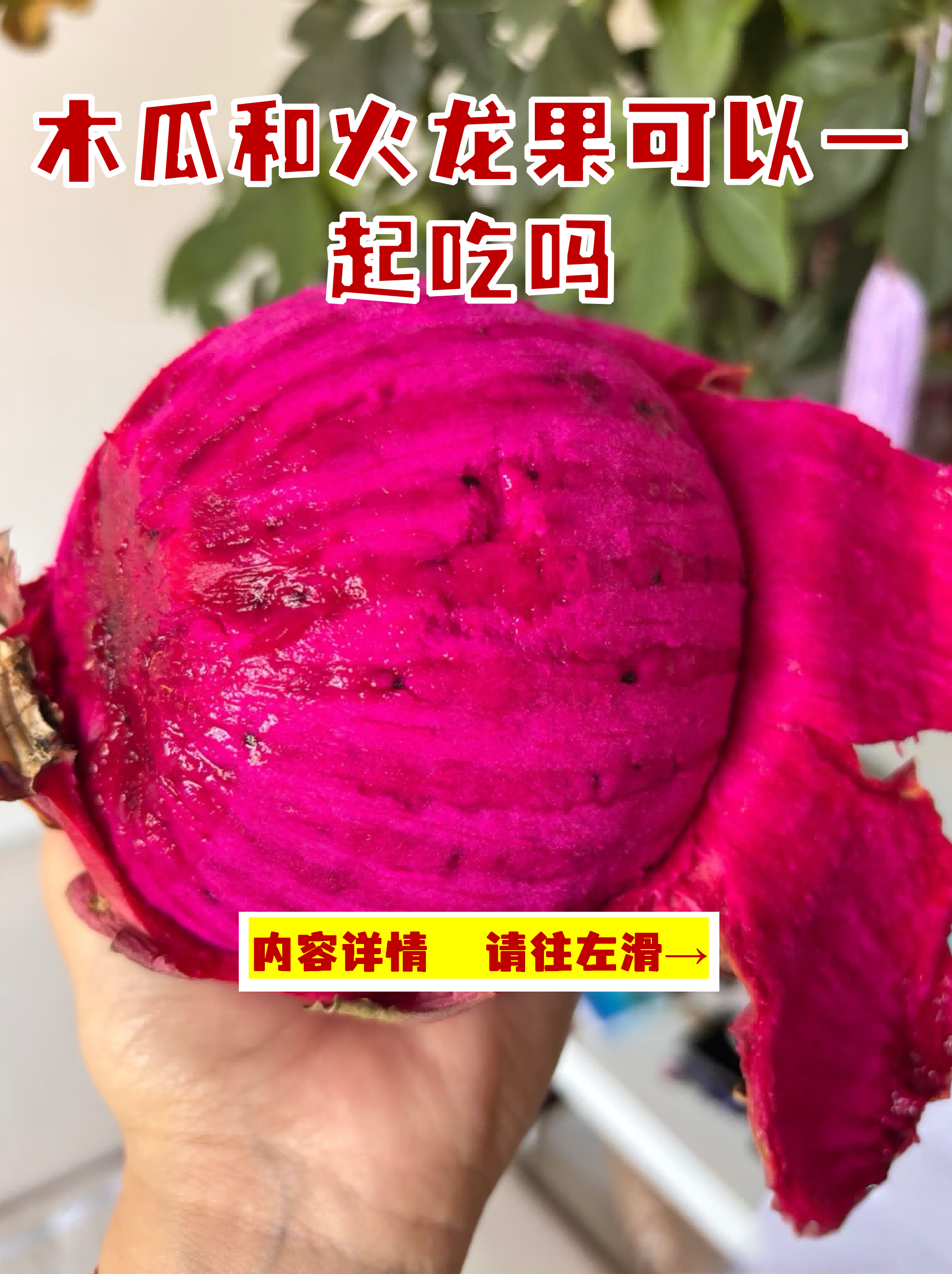 木瓜火龙果凉菜(木瓜火龙果可以一起煮着吃吗)