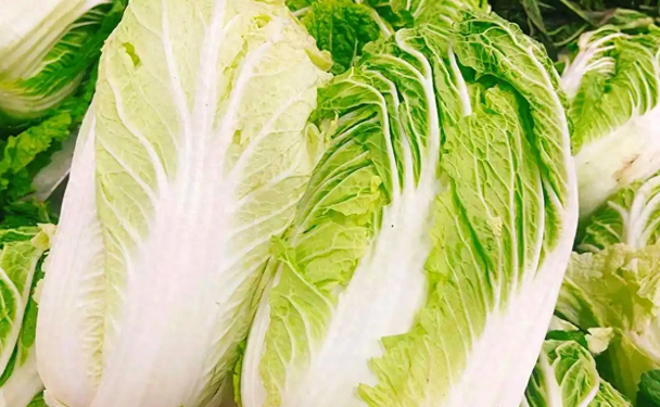 胃寒可以吃什么素菜(胃寒可以吃什么素菜和水果)