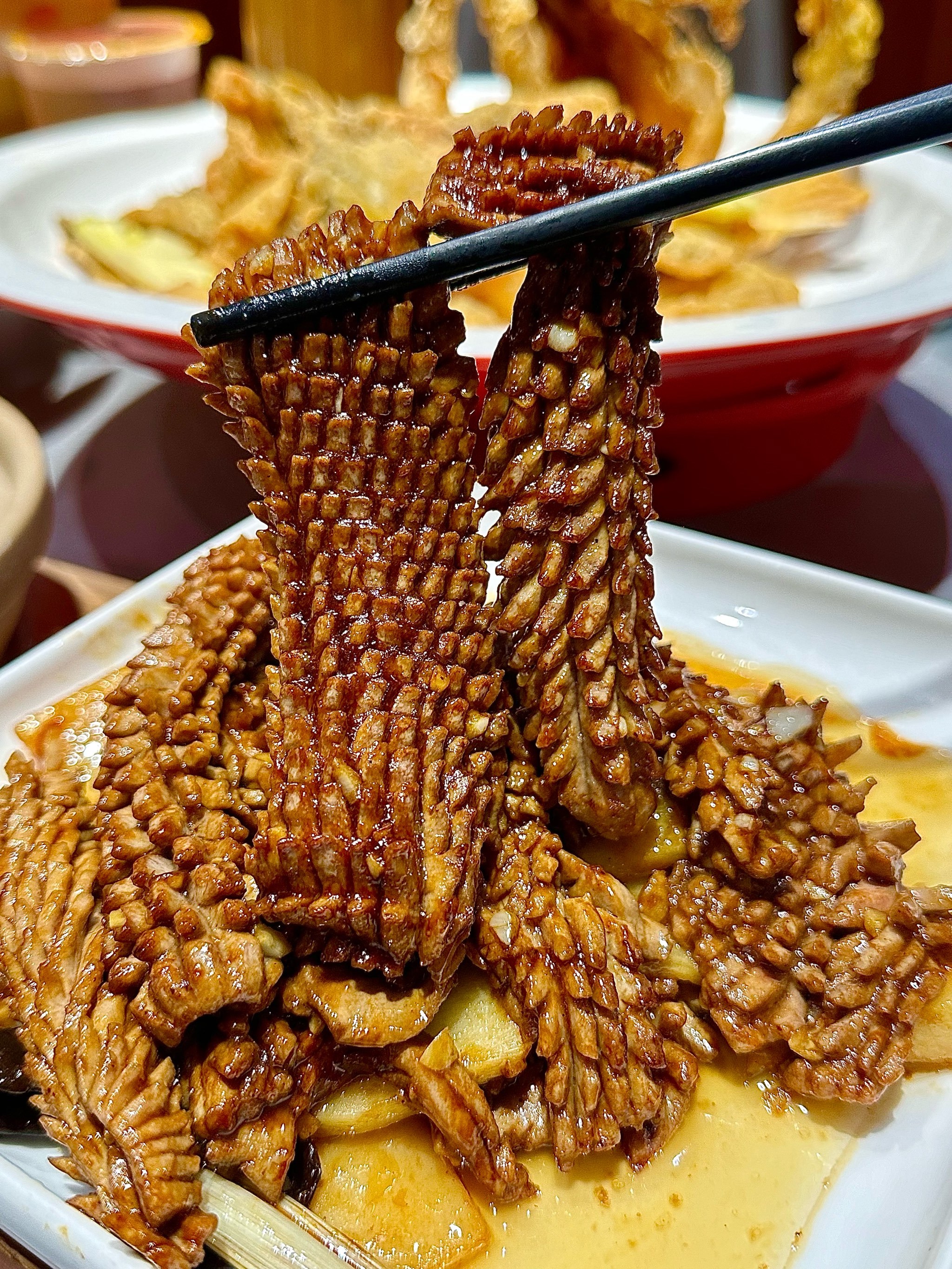 豪猪菜品特色(豪猪怎么弄的吃)