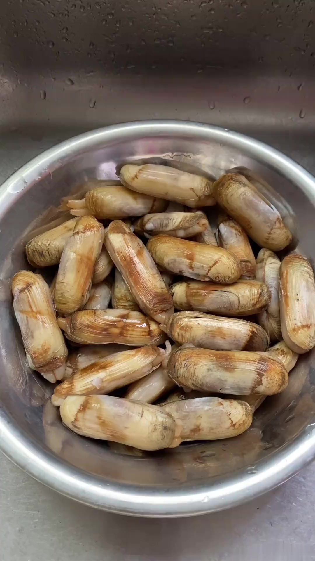 黄蛏子的做法大全家常(黄蛏子的做法大全家常视频)