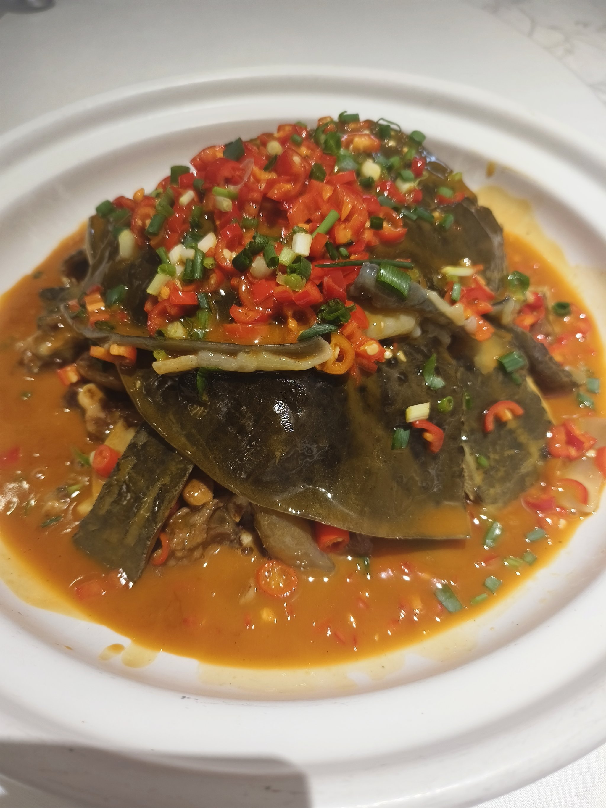 甲鱼特色菜(甲鱼特色做法)