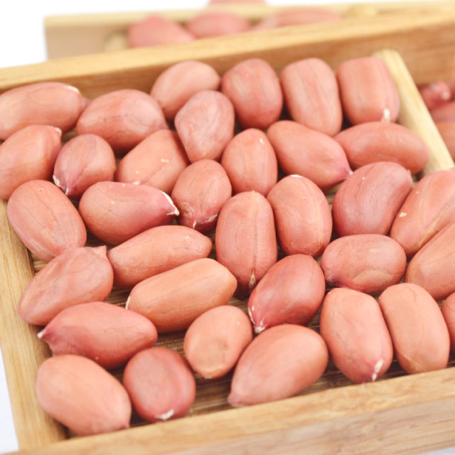 闽南红籽花生的特色(红籽花生的作用与功效)