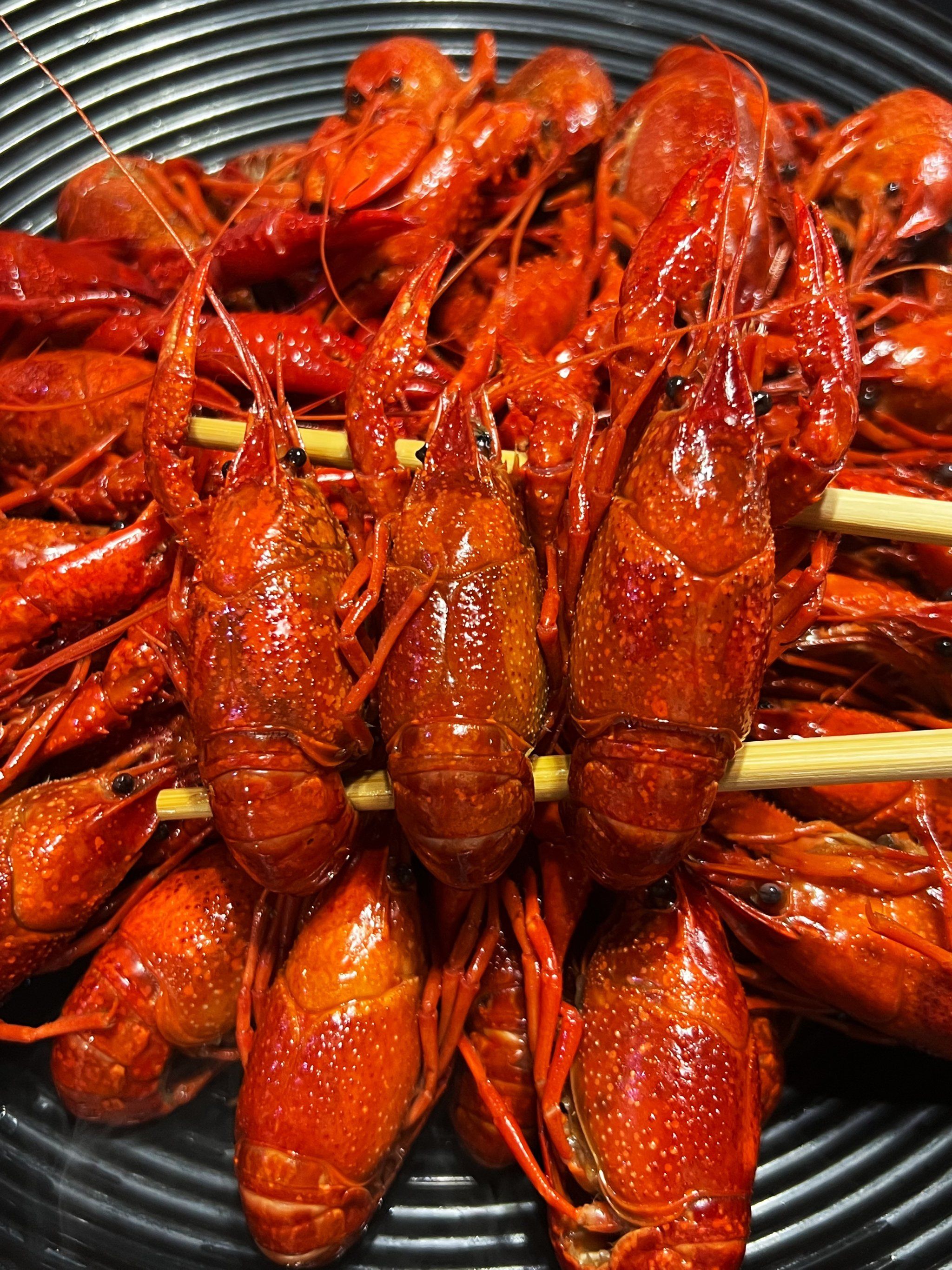 龙虾的特色(龙虾有什么特点先跟我视频看一下) 龙虾的特色(龙虾有什么特点先跟我视频看一下)