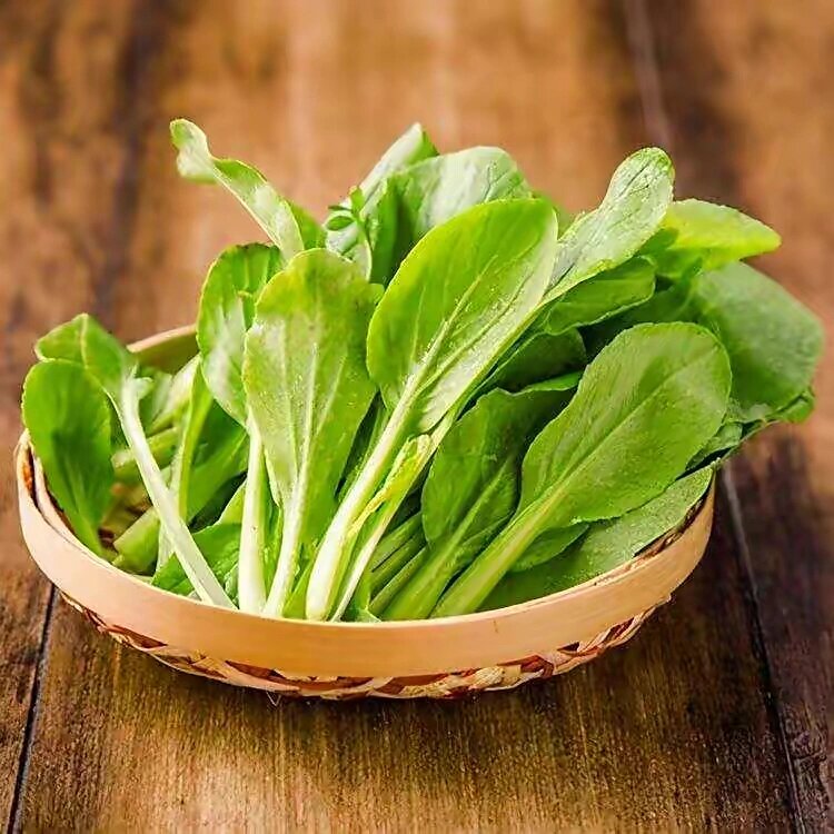 又名的素菜(素菜另一种叫法)