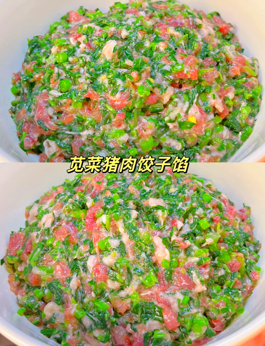 纯素菜饺子馅的做法(纯素菜饺子馅做法大全视频)