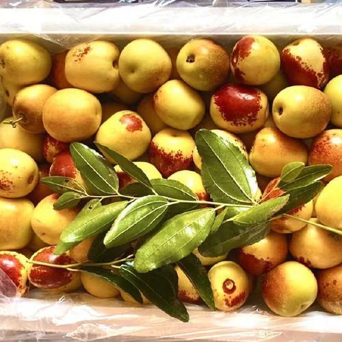 陕西小吃枣模糊(陕西枣馍做法图片)