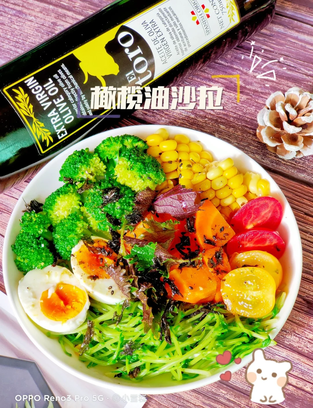 素菜沙拉放盐吗(素菜沙拉放什么调料)