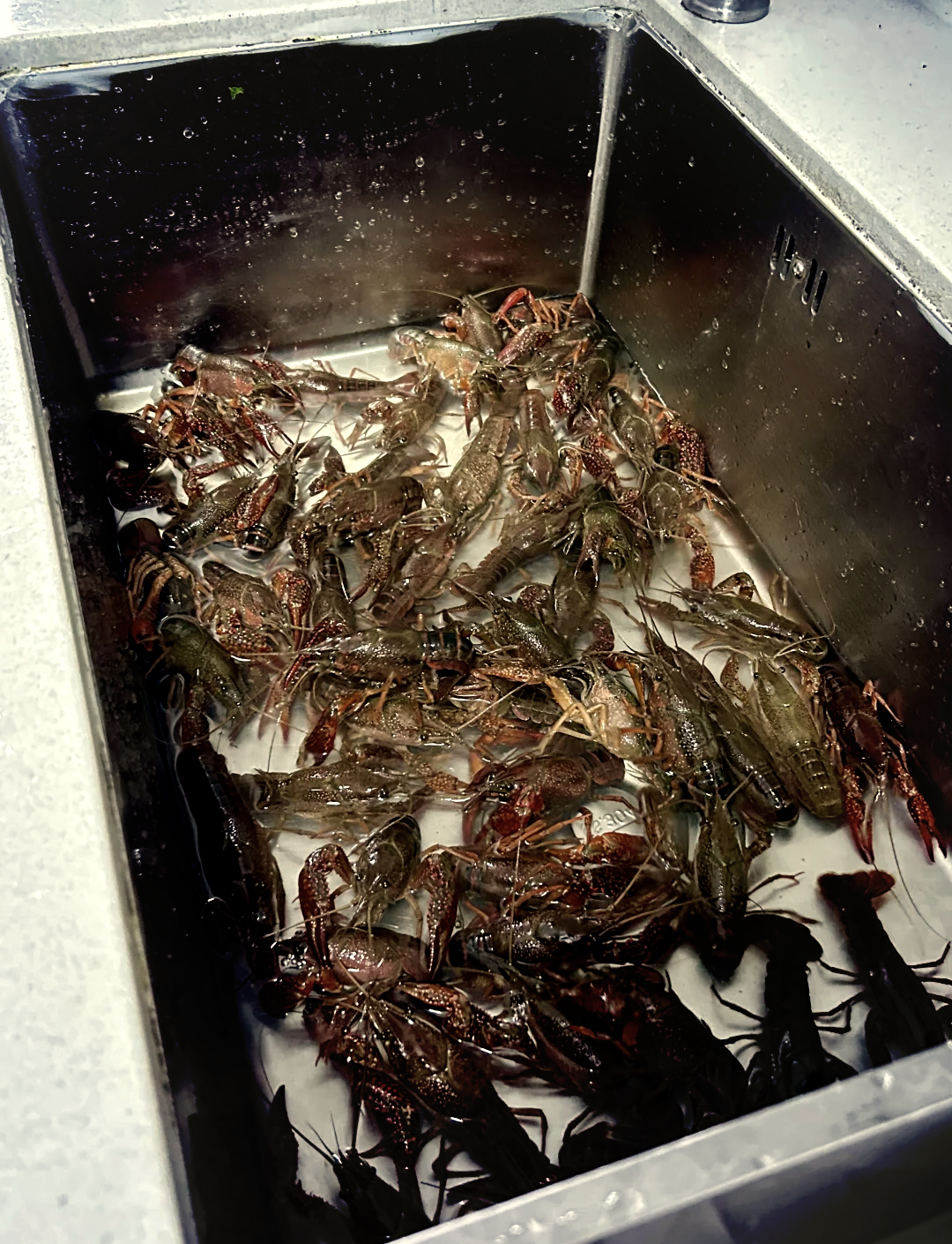 煮小龙虾加素菜(煮小龙虾加什么菜)