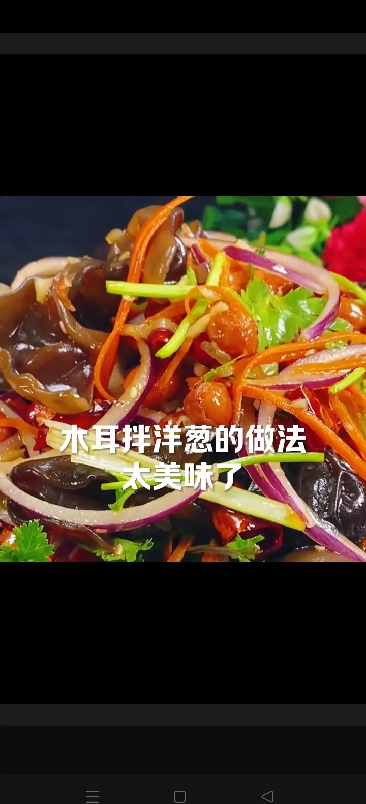 凉菜圆葱木耳作法(凉拌木耳圆葱放哪些调料)