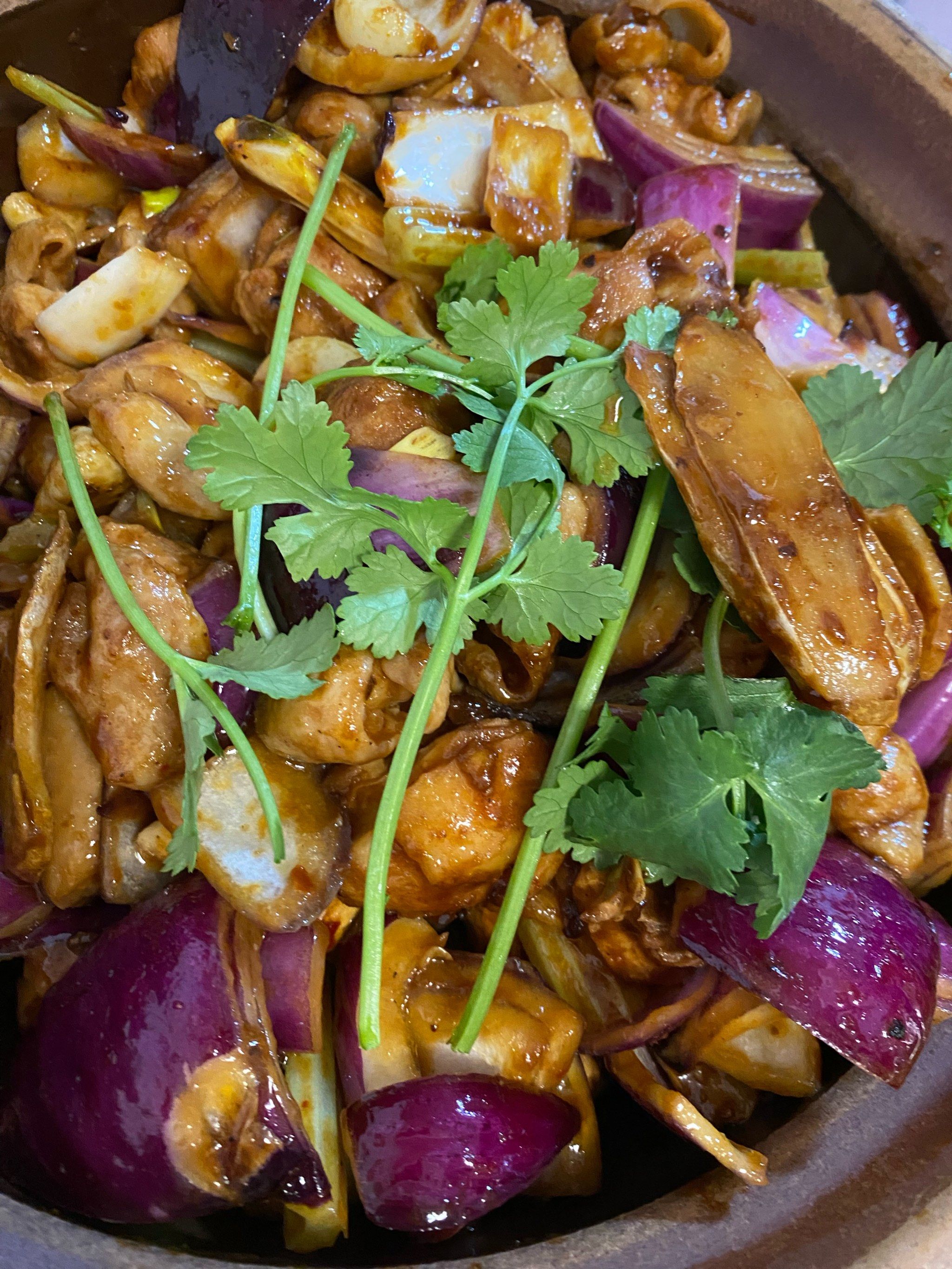 家常鸡怎样做(家常鸡的做法简单做法)