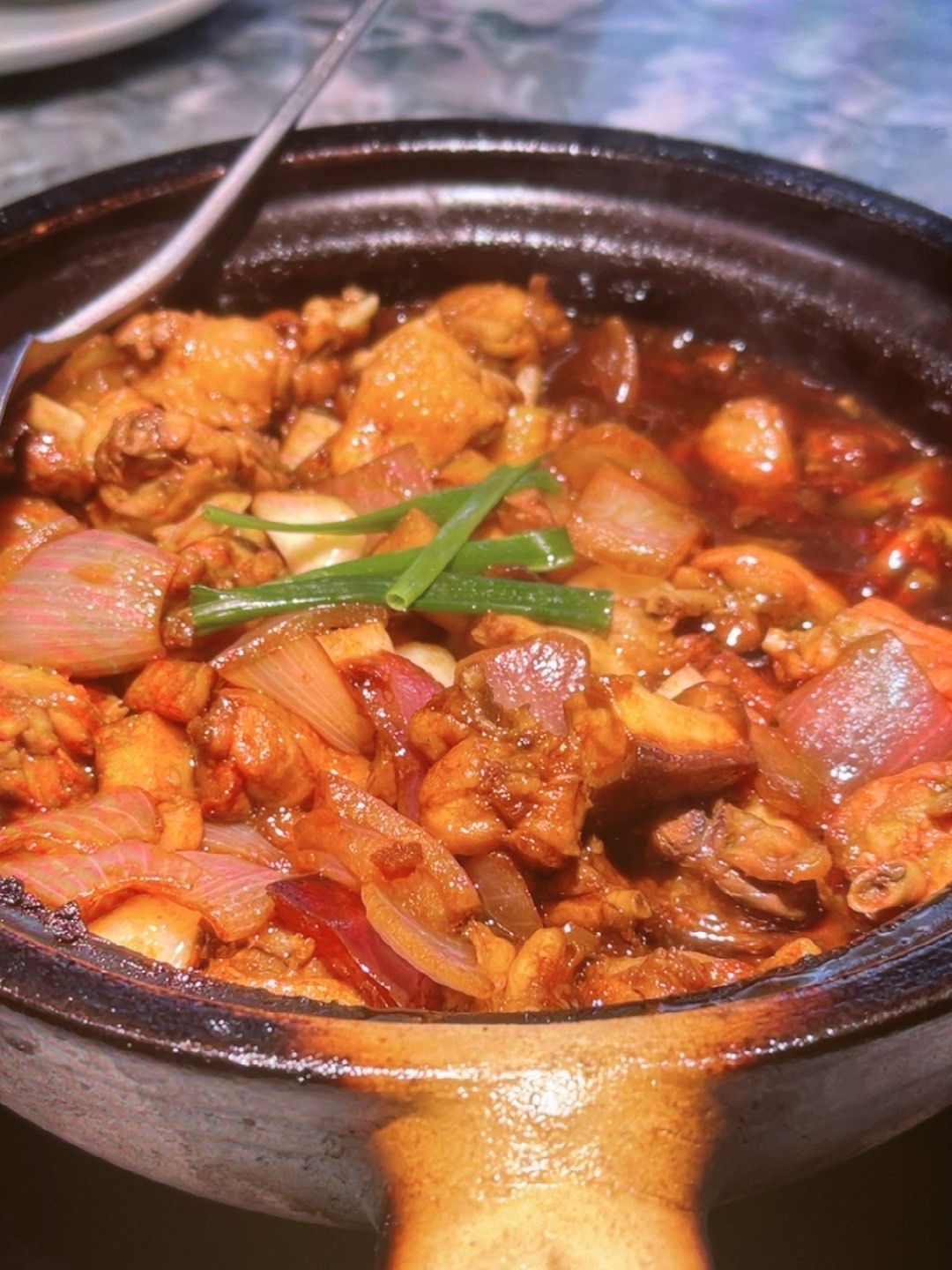 家常鸡怎样做(家常鸡的做法简单做法)