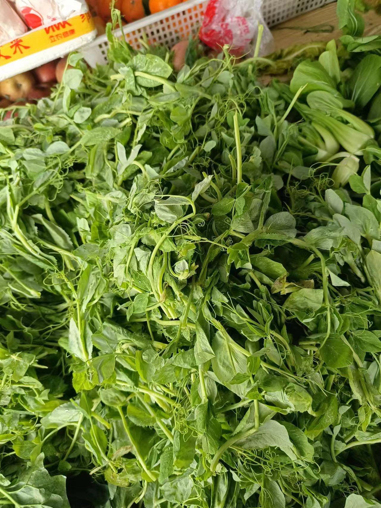 四川的素菜有哪些(四川的素菜有哪些菜)