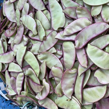 素菜刀豆(刀豆素炒怎么做好吃)