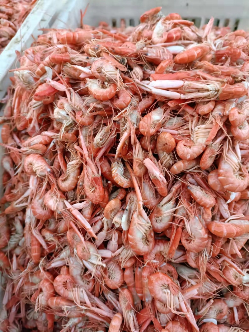 爪虾的家常做法(爪虾的功效与作用)