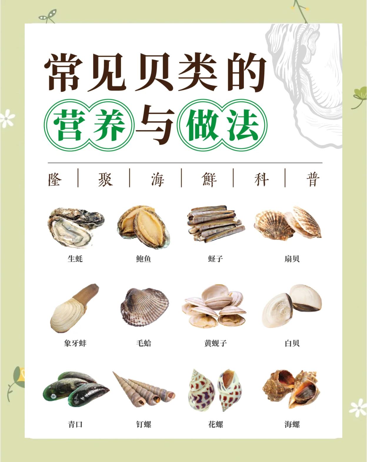 蚝属于荤菜还是素菜(蚝属于荤菜还是素菜呢)