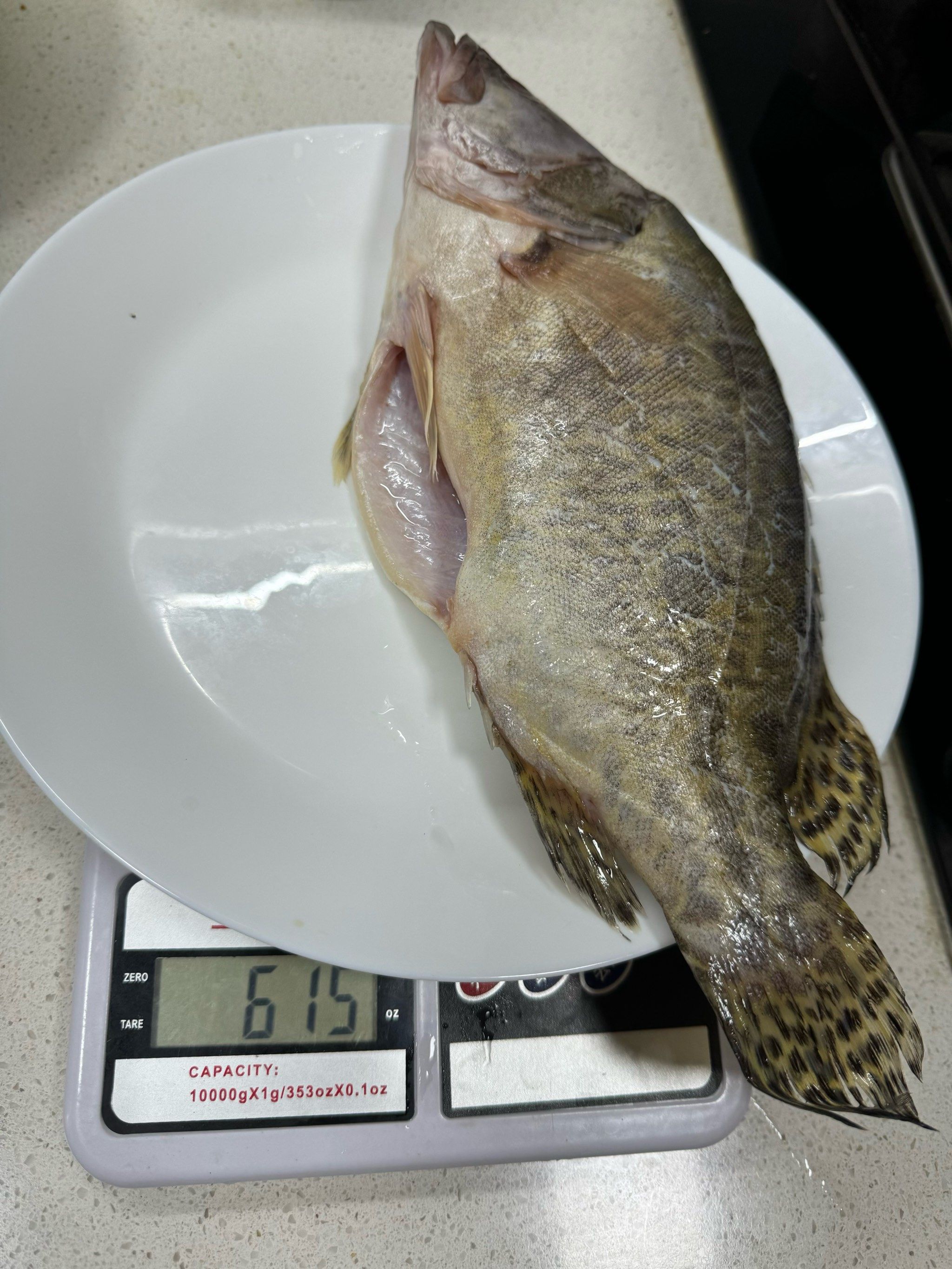 汉川的特色菜臭鱼(汉川的特色菜臭鱼是什么)