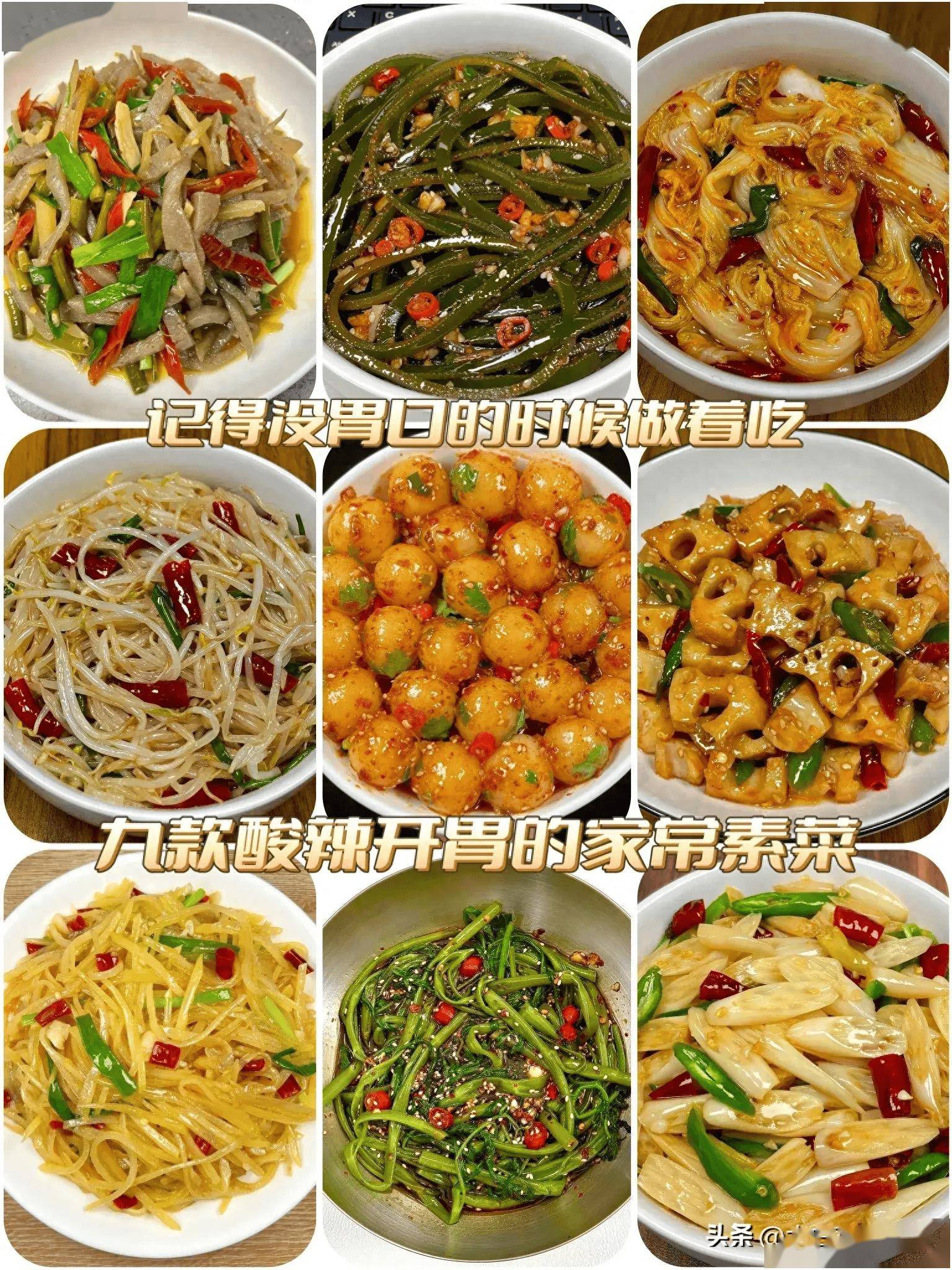 美味的素菜食谱(食材_好吃素菜的做法大全集窍门)