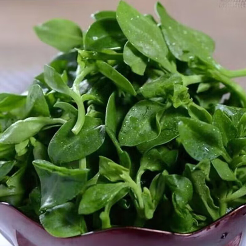 凉菜叫什么莲(饭店的凉拌莲菜怎么做)