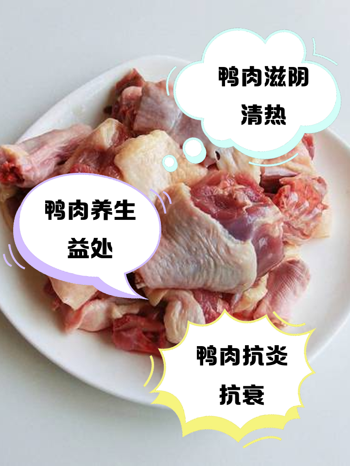 鸭肉能做凉菜吗(鸭肉凉拌什么菜好吃)